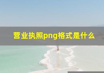 营业执照png格式是什么