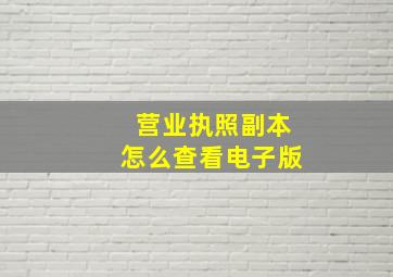 营业执照副本怎么查看电子版