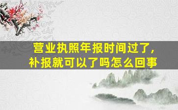 营业执照年报时间过了,补报就可以了吗怎么回事