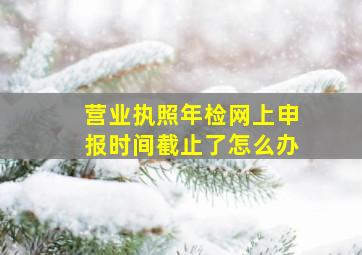 营业执照年检网上申报时间截止了怎么办