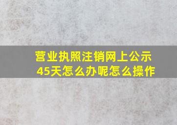 营业执照注销网上公示45天怎么办呢怎么操作