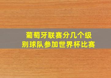 葡萄牙联赛分几个级别球队参加世界杯比赛