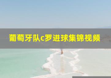 葡萄牙队c罗进球集锦视频