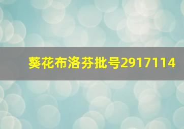 葵花布洛芬批号2917114