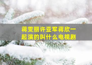 蒋雯丽许亚军蒋欣一起演的叫什么电视剧