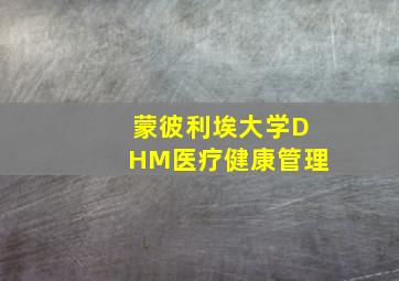 蒙彼利埃大学DHM医疗健康管理