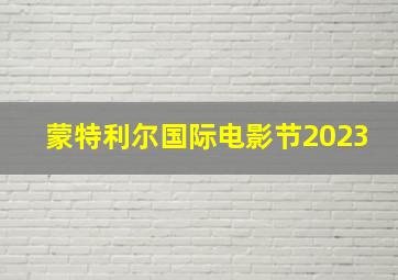 蒙特利尔国际电影节2023