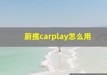 蔚揽carplay怎么用