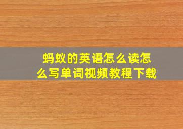 蚂蚁的英语怎么读怎么写单词视频教程下载