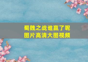 蜀魏之战谁赢了呢图片高清大图视频