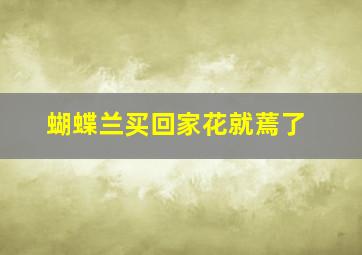 蝴蝶兰买回家花就蔫了