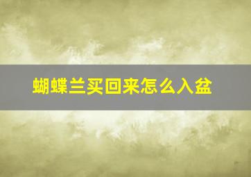 蝴蝶兰买回来怎么入盆