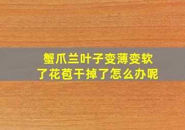 蟹爪兰叶子变薄变软了花苞干掉了怎么办呢