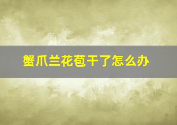 蟹爪兰花苞干了怎么办