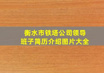 衡水市铁塔公司领导班子简历介绍图片大全