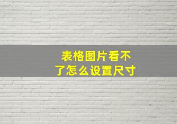 表格图片看不了怎么设置尺寸