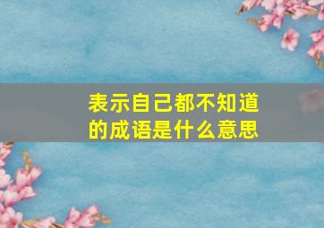 表示自己都不知道的成语是什么意思