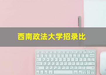 西南政法大学招录比