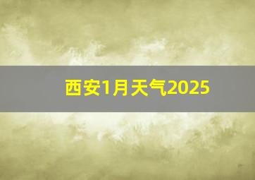 西安1月天气2025