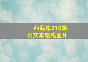 西海岸310路公交车路线图片