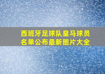 西班牙足球队皇马球员名单公布最新图片大全