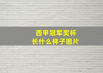 西甲冠军奖杯长什么样子图片