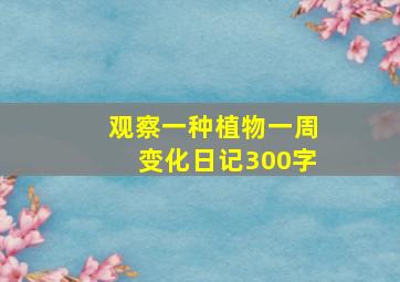 观察一种植物一周变化日记300字