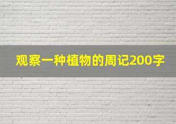 观察一种植物的周记200字