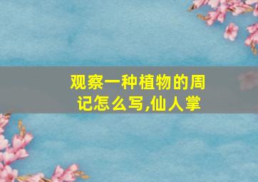 观察一种植物的周记怎么写,仙人掌