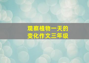 观察植物一天的变化作文三年级