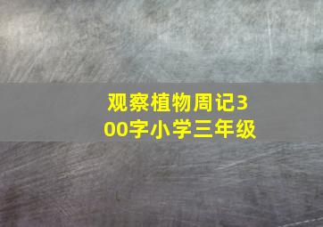 观察植物周记300字小学三年级