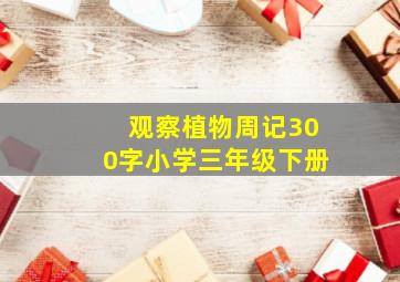 观察植物周记300字小学三年级下册