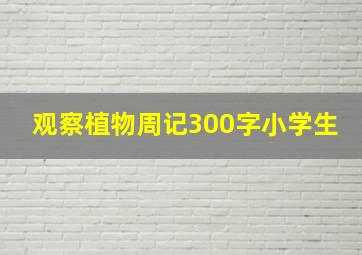 观察植物周记300字小学生