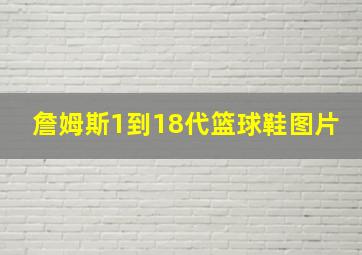 詹姆斯1到18代篮球鞋图片