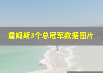 詹姆斯3个总冠军数据图片