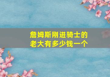 詹姆斯刚进骑士的老大有多少钱一个