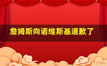 詹姆斯向诺维斯基道歉了