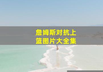 詹姆斯对抗上篮图片大全集