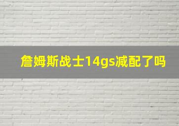 詹姆斯战士14gs减配了吗