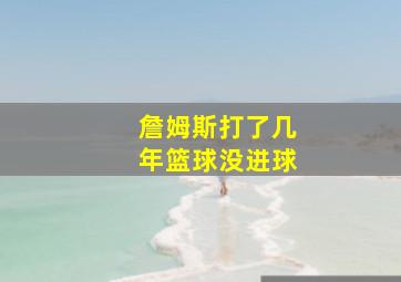 詹姆斯打了几年篮球没进球