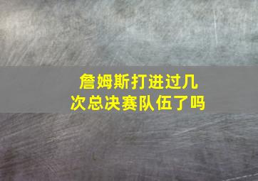 詹姆斯打进过几次总决赛队伍了吗