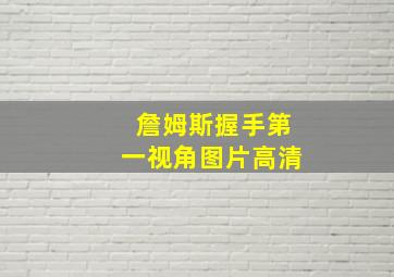 詹姆斯握手第一视角图片高清