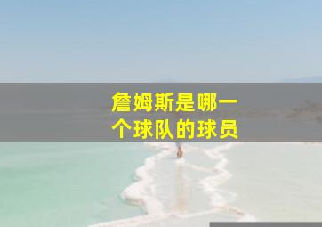 詹姆斯是哪一个球队的球员