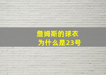 詹姆斯的球衣为什么是23号