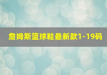 詹姆斯篮球鞋最新款1-19码