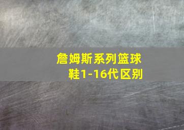 詹姆斯系列篮球鞋1-16代区别