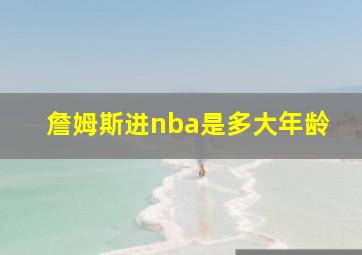 詹姆斯进nba是多大年龄