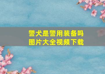 警犬是警用装备吗图片大全视频下载