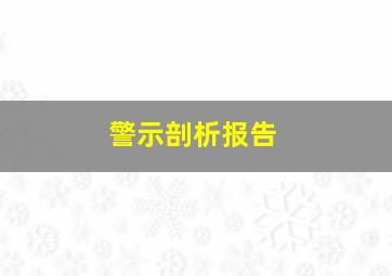 警示剖析报告