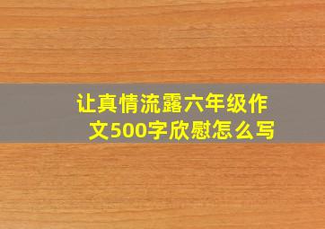 让真情流露六年级作文500字欣慰怎么写